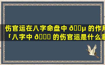 伤官运在八字命盘中 🌵 的作用「八字中 💐 的伤官运是什么意思」